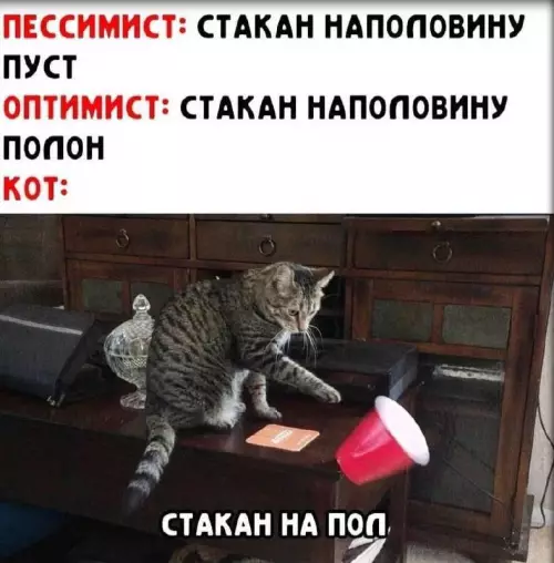 смешные картинки